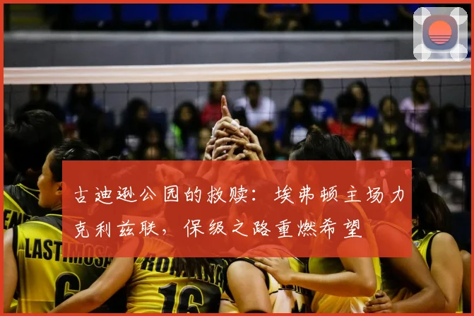 古迪逊公园的救赎：埃弗顿主场力克利兹联，保级之路重燃希望